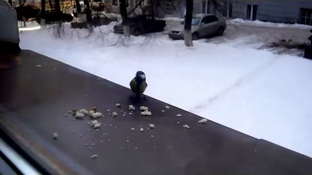 Я тону в твоих глазах (regalo Di Massimo)
