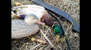 Три варианта охоты на селезня весной