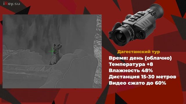 Тепловизор для охоты! Тепловизионный прицел с лазерным дальномером iRay Geni GL 35R.