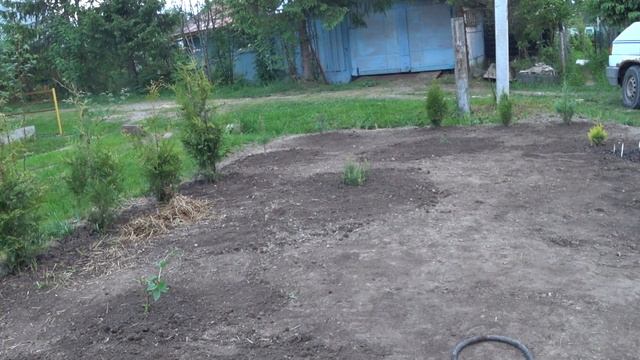 Выходные на любимой даче. День второй. Пробуем свои силы в ландшафтном дизайне. Опрыскиваем розы. смотреть онлайн