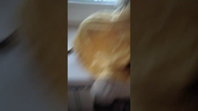 У меня новые подгузники!!! смотреть онлайн