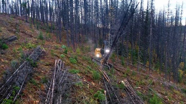 Bublitz Logging II with Stones Bay Holdings смотреть онлайн