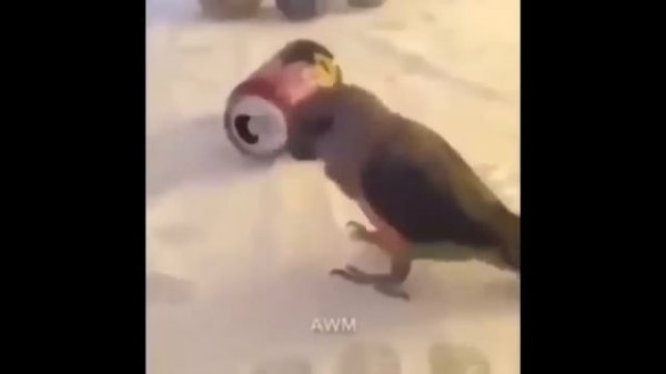 ROBLOX Rainbow Friends Funny Moments (MEMES) #3