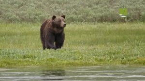 Рожденные в Скалистых горах - 1 серия