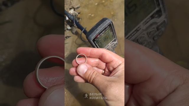 Золотое кольцо, уже четвёртое! Пляжный поиск с Nokta Legend✌ смотреть онлайн