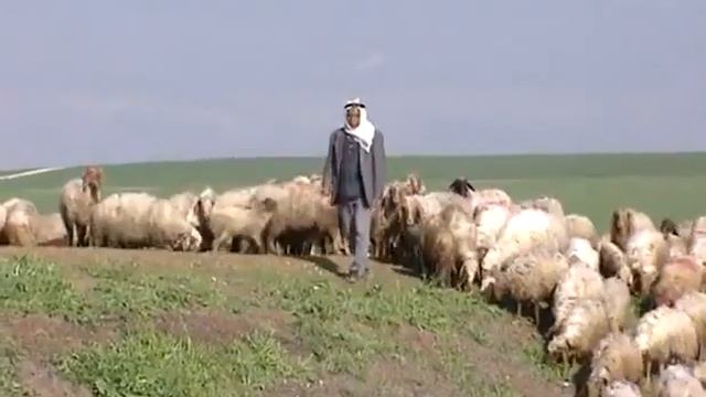 01. География, климат и сельское хозяйство смотреть онлайн