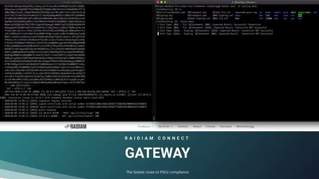 Raidiam Connect Gateway Docker смотреть онлайн