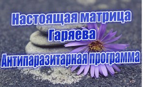 Настоящая матрица Гаряева Антипаразитарная программа
