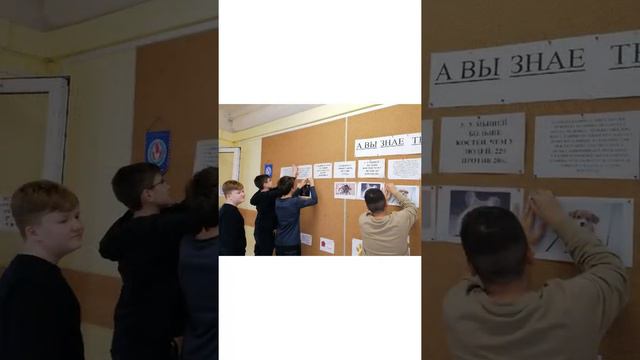 Выставка "Животные - наши друзья" смотреть онлайн
