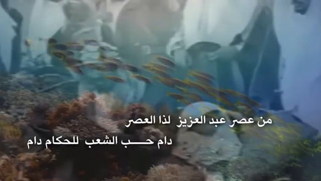 شيلة العيد الوطني 2022 جعل حبي للوطن ماينعدم دام عزك يسعودي دام смотреть онлайн