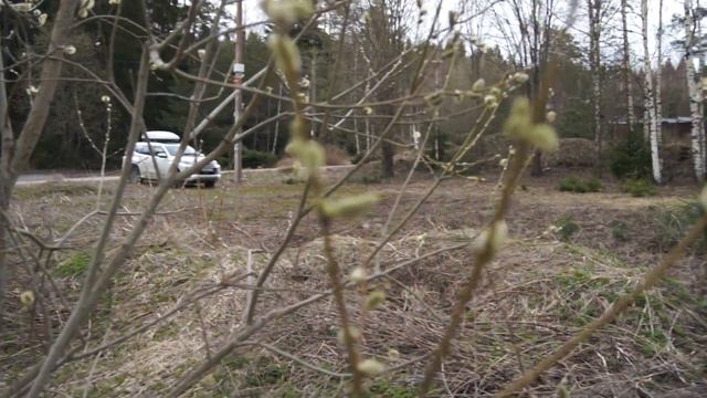 Ильичево 10 соток смотреть онлайн