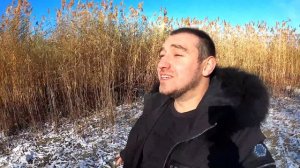 ВЛОГ: СОБАКИ ОТКОПАЛИ ТРУП