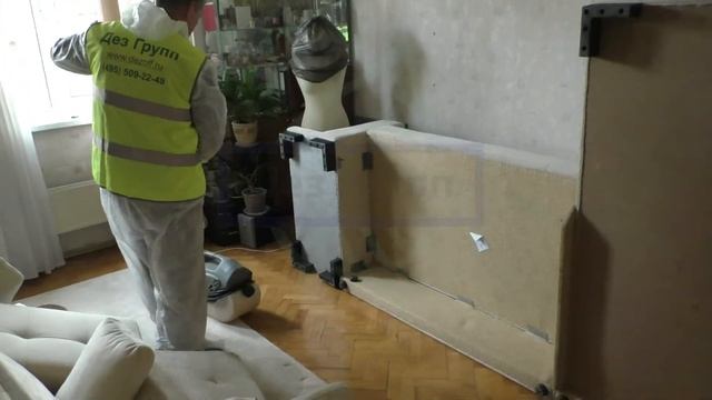 Зачем и когда нужна профилактическая обработка от клопов? Клопы | Дезинсекция смотреть онлайн