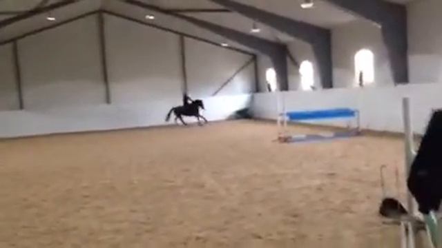 Första hoppträningen med nya hästen! смотреть онлайн