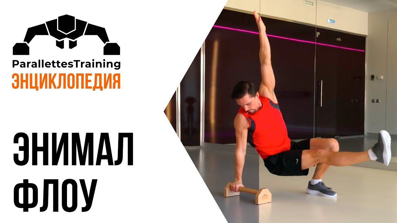 Энимал Флоу смотреть онлайн