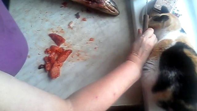 разделка рыбы смотреть онлайн
