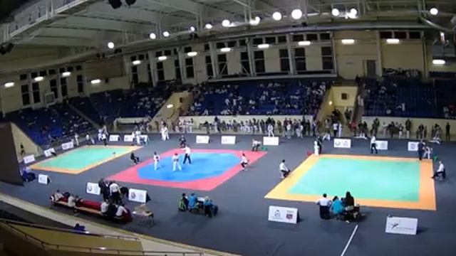 XVI Всероссийский турнир по тхэквондо ВТФ «Кубок Смоленской крепости» смотреть онлайн