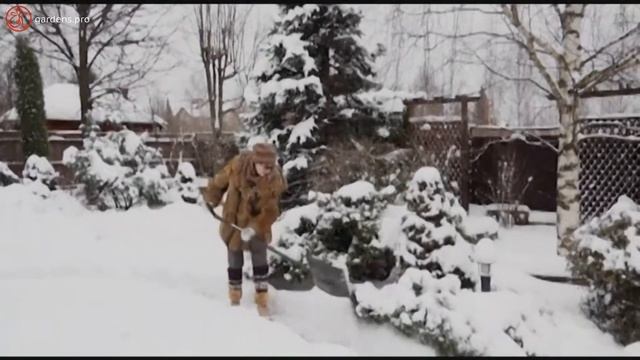 Дорожки в пространстве сада смотреть онлайн