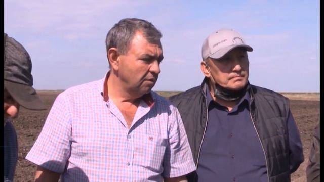 Развитие сельского хозяйства в Аккайынском районе смотреть онлайн