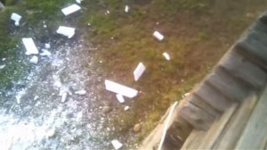 Почему куры любят пенопласт.