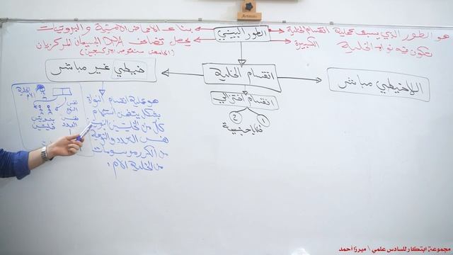 1️⃣ الانقسامات محاضرة 12 ??