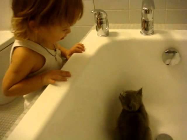 Cat and Baby Boy are playing ¤ Игры малышей ¤ смотреть онлайн