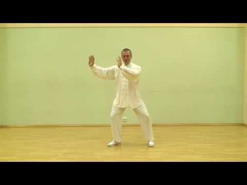 Taiji Chen Romanov R   ч 1- Комментарии к движениям первого комплекса