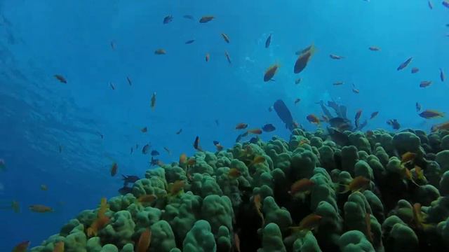 Эйлат 07.11.2014 смотреть онлайн