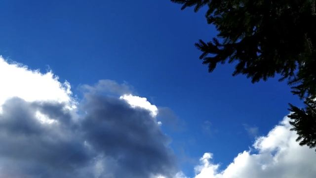 29 ноября.ДЕНЬ МАТВЕЯ.Народные традиции, обряды и приметы смотреть онлайн