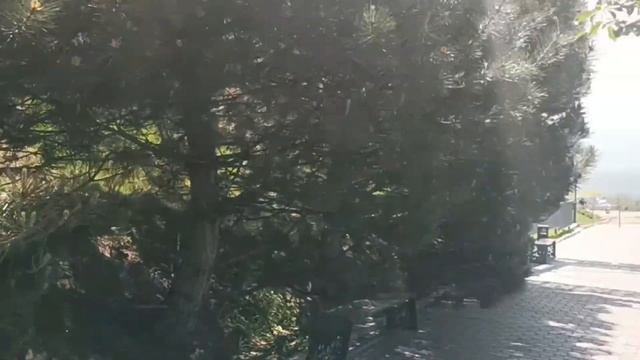 Отражения Эфира