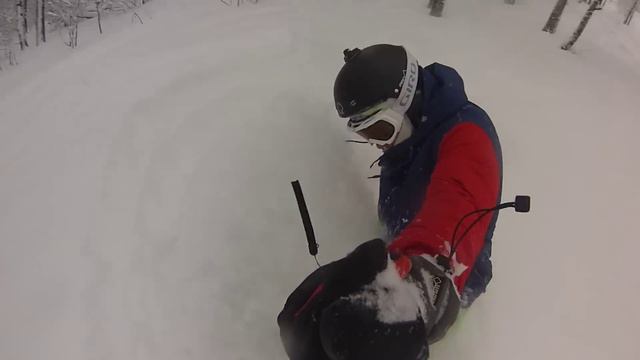 Завьялиха пухляк 2015-2016