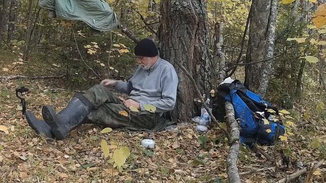 Никитская аномальная зона смотреть онлайн