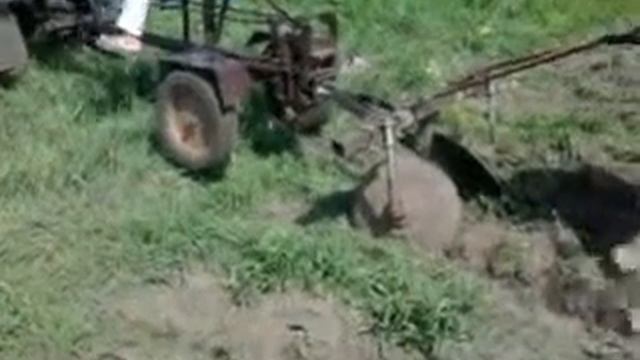 Видео0032 смотреть онлайн