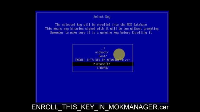 How to Boot Grub2 with Secure Boot using Shim and MOK Manager смотреть онлайн