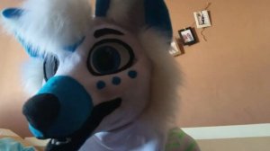 ОБЗОР НА МОИ ФУРСЬЮТЫ? // Фурсьют // Обзор