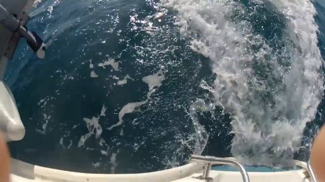 Жизнь в море Меганом смотреть онлайн