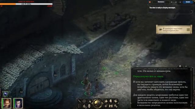 Pillars of eternity. Начало смотреть онлайн