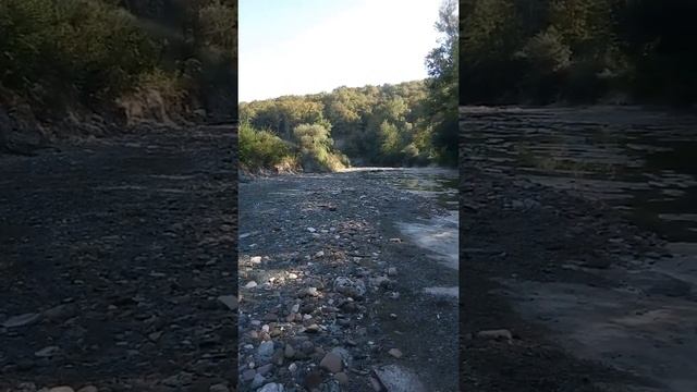 Чем отличается общество в авторитарном государстве смотреть онлайн