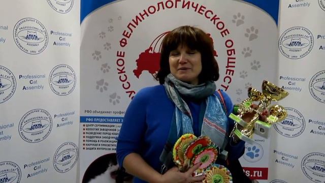 Парадокс с титулами кошек. смотреть онлайн