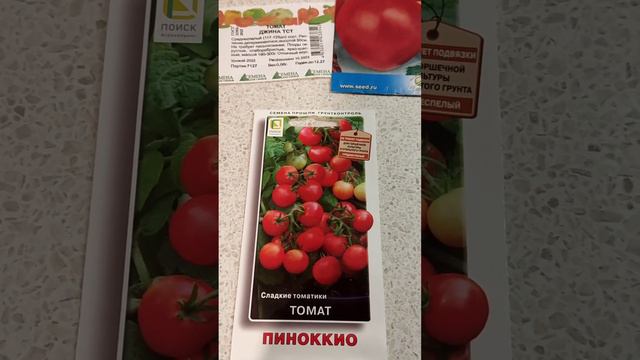 Подготовка почвобрикета для посадки томатов. Обзор среднеспелый помидор. смотреть онлайн