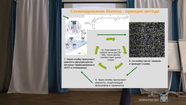 Секвенирование нового поколения: принципы, возможности и перспективы - Мария Логачева смотреть онлайн
