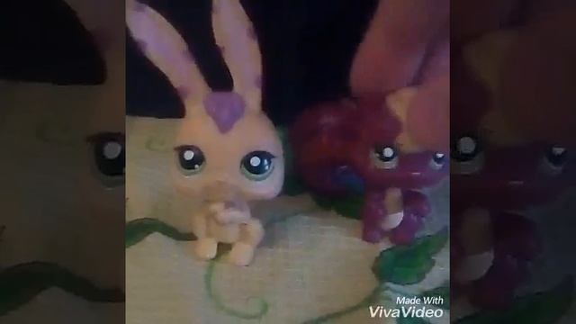 Lps песня зайчика и белочки. ОНАМОЯМАНИЯ Эндэшпиль смотреть онлайн