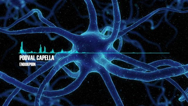 Podval Capella – Endorphin