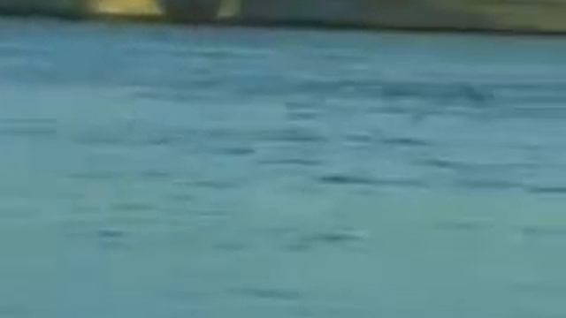 Белые ночи (Тасо) смотреть онлайн