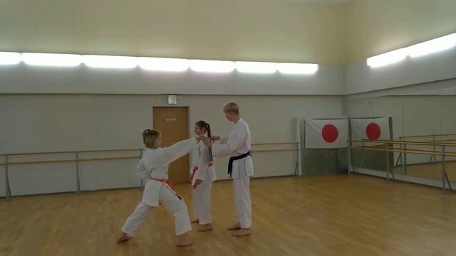 6-й кю (зеленый пояс): пособие по подготовке к экзамену JKA. смотреть онлайн