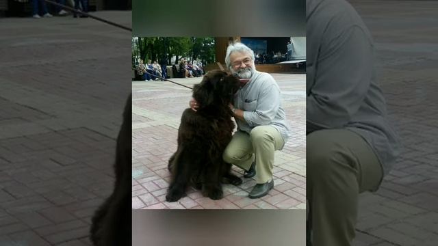 Станислав Минаков. "Меж лесом и полем". Стихотворение. Читает автор смотреть онлайн