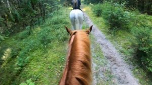 Прогулка верхом без сёдел!  Падение с лошади..