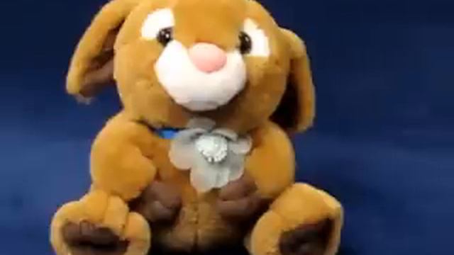 Заяц душечка смотреть онлайн