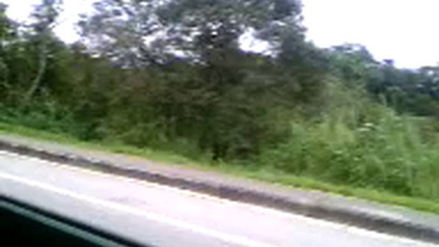 niva e pedro na estrada de indaia 4.3gp смотреть онлайн