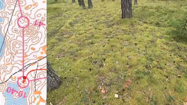 Спортивное ориентирование (headcam orienteering) - Фестиваль активного отдыха, классика - 06.08.22 смотреть онлайн
